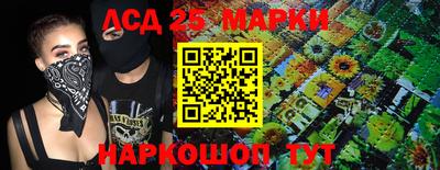 гидропоника Гусев