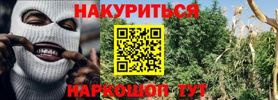 ГАЛЛЮЦИНОГЕННЫЕ ГРИБЫ Гусиноозёрск