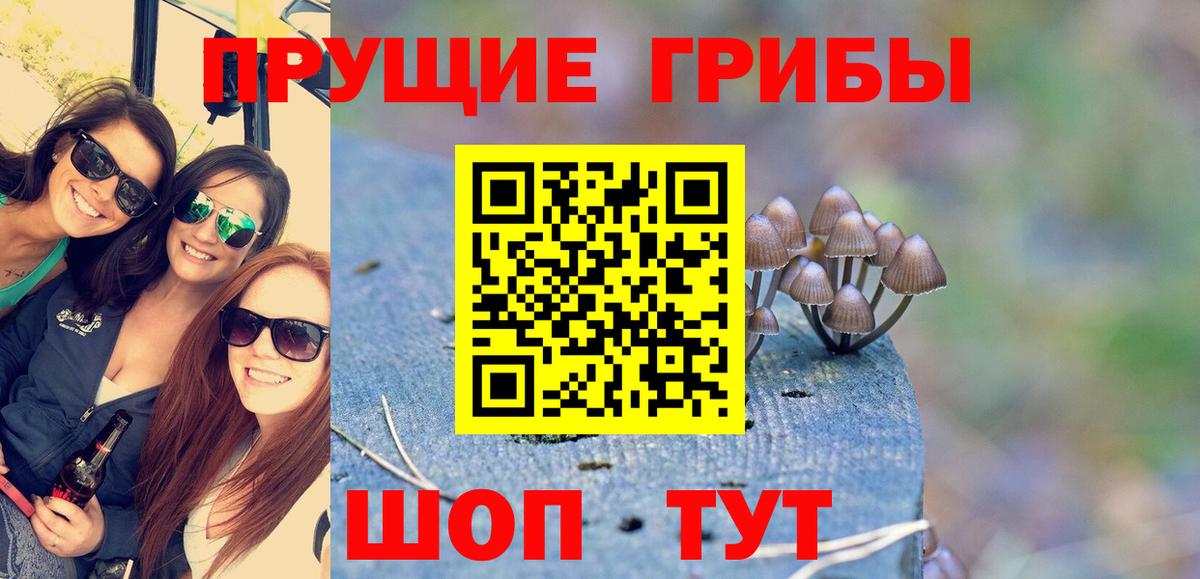 Галлюциногенные грибы GOLDEN TEACHER  Вход с VPN  Галлюциногенные грибы MAGIC MUSHROOMS  Златоуст 